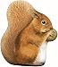 Squirrel Silkscreened Paperweight Paper Weight