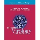 Principles of Virology (2 Volume Set) by S. J. Flint, L. W. Enquist, and V. R. Racaniello
