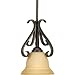 Progress Lighting P5153-77 1-Light Stem-Hung Mini-Pendant with Tea Stained Glass, Forged Bronze