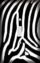 Zebra Skin Print Decorative Switchplate Cover