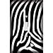 Zebra Skin Print Decorative Switchplate Cover
