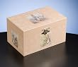 Beatrix Potter - Peter Rabbit Jewelry Box Beatrix Potter - Peter Rabbit Jewelry Box