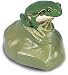 Tree Frog, Male (Hyla arborea)