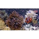 3D Aquarium [Blu-ray 3D]