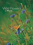 Wild flowers of Mann