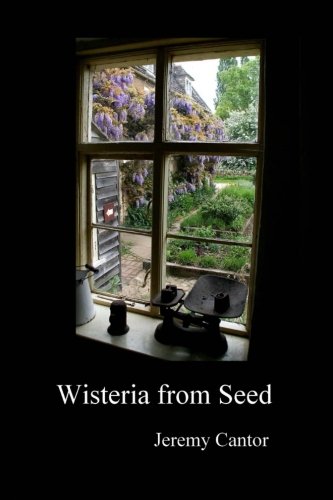 Wisteria from Seed