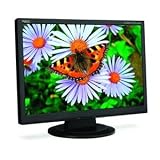 NEC AccuSync LCD194WXM-BK - Flat panel display - TFT - 19 - widescreen - 1440 x 900 / 75 Hz - 300 cd/m2 - 1000:1 - 5 ms - 0.284 mm - DVI-D, VGA - black