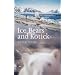 Ice Bears & Kotick: Rowing on Top of the World