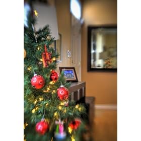 Lensbaby The Muse for Digital SLR Cameras