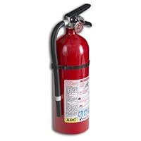 Kidde 21005779 Pro 210 Fire Extinguisher, ABC, 160CI