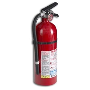 Kidde 21005779 Pro 210 Fire Extinguisher, ABC, 160CI