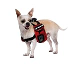 Urban Adventure Backpack, Extra Small - Colors May Vary