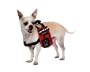 Kyjen Outward Hound Urban Adventure Dog Backpack, X-Small, Colors Vary