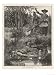 Death of Metacomet (King Philip) Chief of the Wampanoag Indians During King Philip's ...