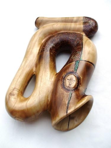 Didgeridoo Didg Didj Didjeridoo Didjeridu Compact Didgeridoo Snake Didg