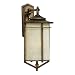 Quoizel BX8412DS Braxton 24-1/2-Inch Jumbo Wall Lantern, Dark Silver Finish