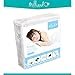 Milliard Premium Terry Hypoallergenic 100-Percent Waterproof Mattress Protector, California King