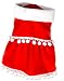 Mrs. Claus Santa Girl Dog Christmas Dress S