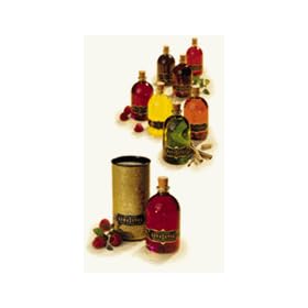Kama Sutra Oil Of Love-Vanilla Creme (3.4 oz.)