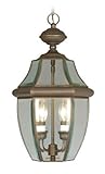 Livex Lighting 2255-07 Monterey 2 Light Outdoor Bronze Finish Solid Brass Hanging Lantern with Clear