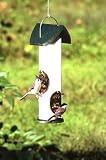 Clear Tube Feeder Sunflower