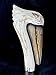 Hand Carved Wood Pelican SEA Ocean Bird Walking Stick Cane Art Whimsical Tropical Safari