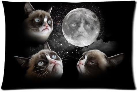 Galaxy Space Grumpy Cat Personalized Rectangle Pillowcase 24x16 inches (one side)