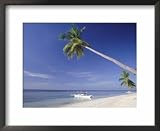 Alona Beach, Panglao Island, off Coast of Bohol, Philippines, Southeast Asia Photography Framed Art Poster Print by Robert Franc