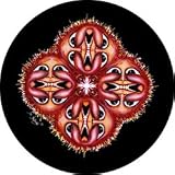 Kalidisun Spare Tire Cover
