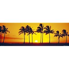 Empire 215185 Sonnenuntergang - Hawaii Palm - Panorama T�r-Poster - 158 x 53 cm