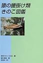 猿の腰掛け類きのこ図鑑