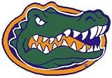 4' Round Florida Gators Basketball Rug