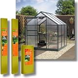 6 x 6' Complete Greenhouse Kit Green/Clear