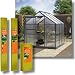 6 x 6' Complete Greenhouse Kit Green/Clear