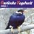 Exotische Vogelwelt - Edition 1. CD