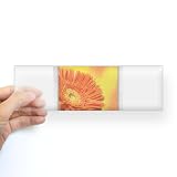 Bumper Sticker Clear Daisy Orange Gerbera Bumper Sticker Clear Daisy Orange Gerbera