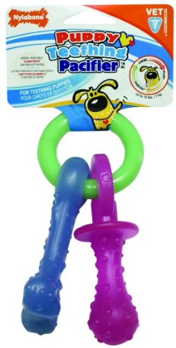 Nylabone Puppy Teething Pacifier Dog Toy