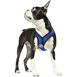 Gooby Choke Free X Frame Soft Harness with Micro Suede Trimming for Small Dogs, Medium, Blue