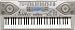 Musical Instruments : Casio CTK900 61 Full-Size Key MIDI Keyboard
