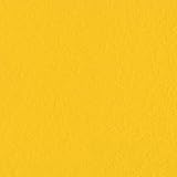 Bazzill Cardstock 8.5"X11"-Classic Yellow 25 per pack