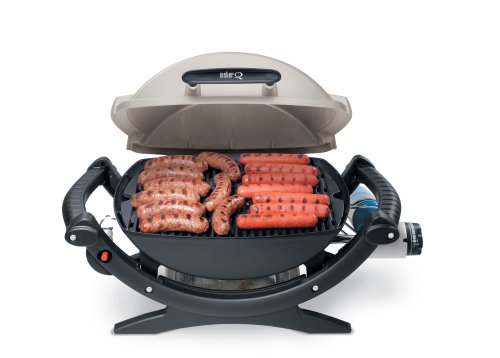 Weber 386002 Q-100 Portable Gas Grill