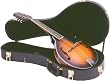 Guardian Wood Hardshell Mandolin Instrument Case