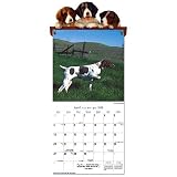 German Shorthaired Pointer Calendar & Ca