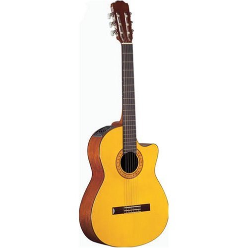 Childrens Toyshop  Musical Instruments : Takamine EG124C Classical Cutaway Acoustic-Electric Guitar