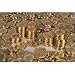 Gold Coins - 144 pieces