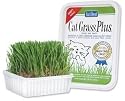CatGrass Plus - Water only once