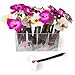 Xonex Orchid Flower Ballpoint Single Pen (10712) In Our Choice of Pink or White