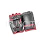 Boxing Gloves for Nintendo Wii