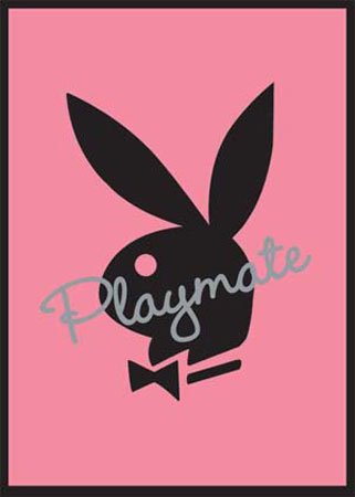 Empire 17314 Playboy - Playmate Bunny, Poster ca. 91,5 x 61 cm