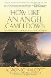 How Like an Angel Came I Down: Conversations With Children on the Gospels [Paperback]